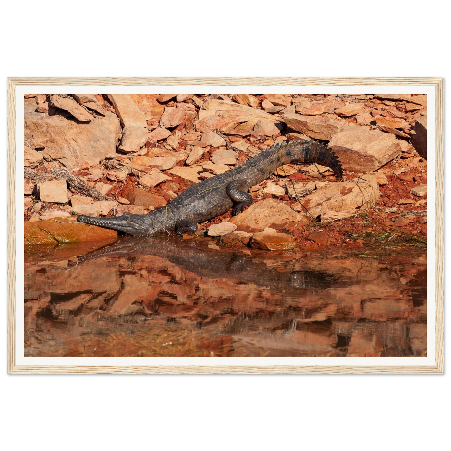 4c907cfb-6451-4160-b761-a9c992af364b