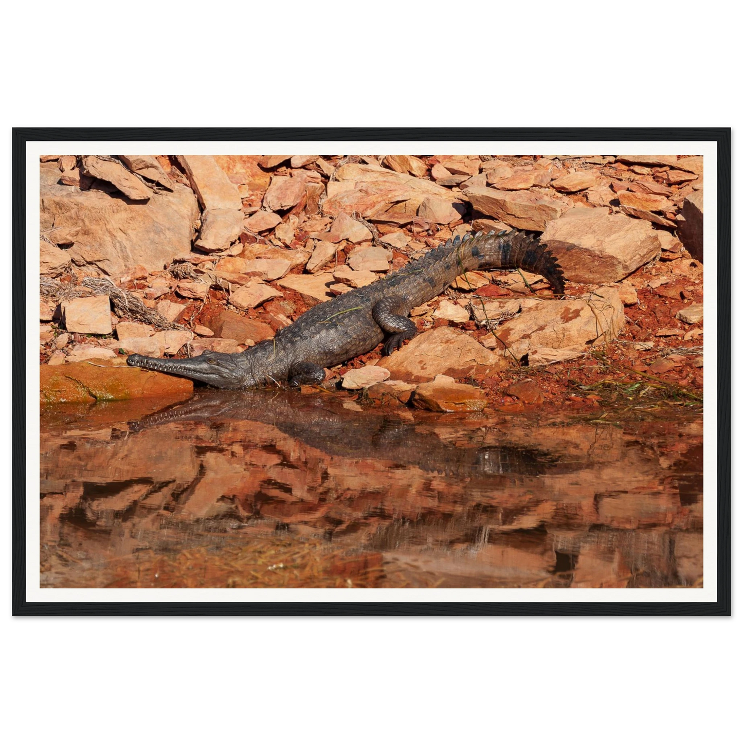 4d258ff3-d8da-45e2-9c70-ae148cc3159d