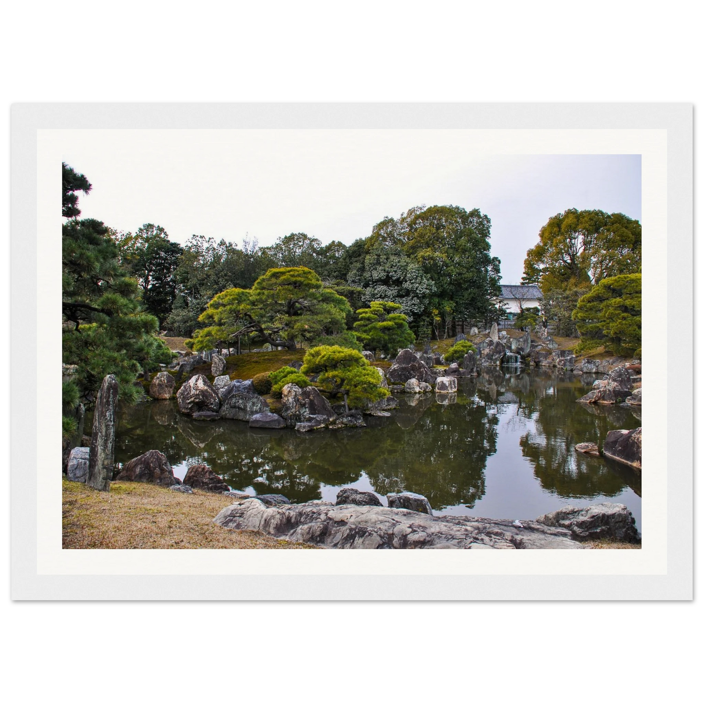 4e2a8e94-c55b-4234-ba6e-8b5d9cd82548