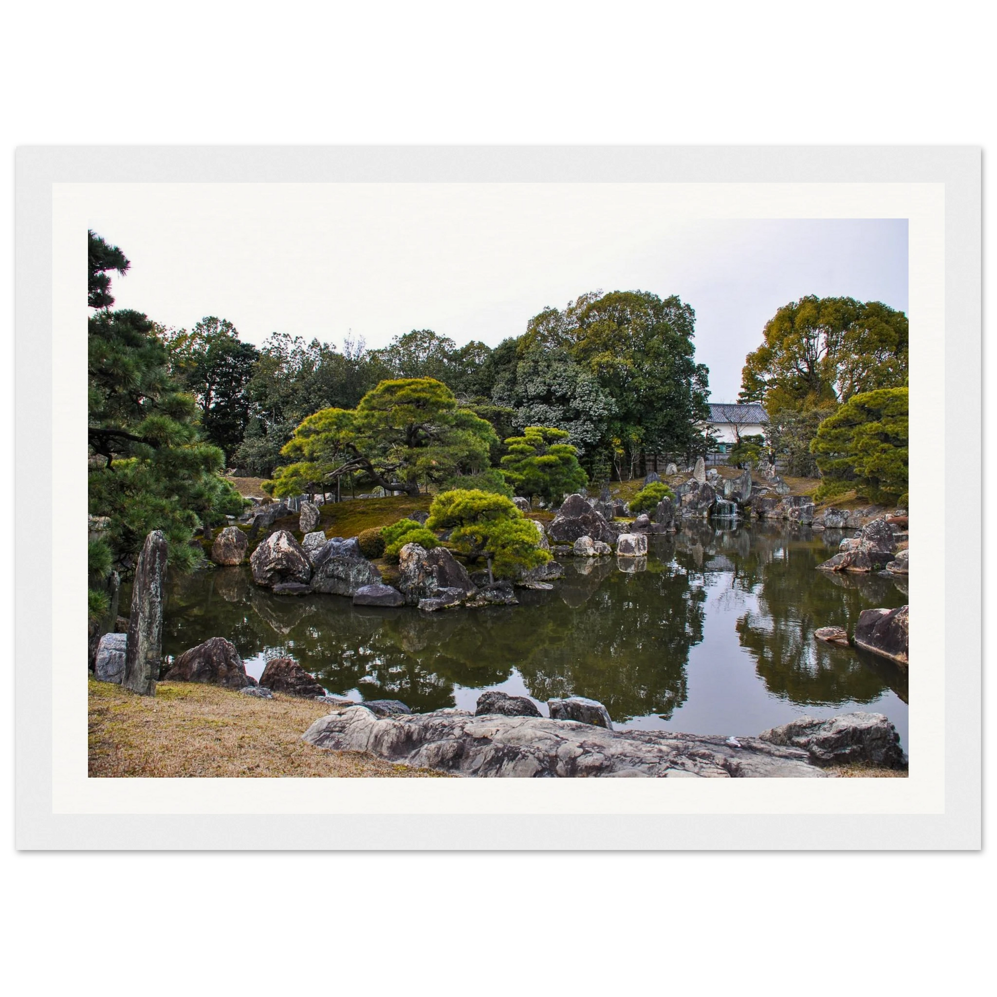 4e2a8e94-c55b-4234-ba6e-8b5d9cd82548