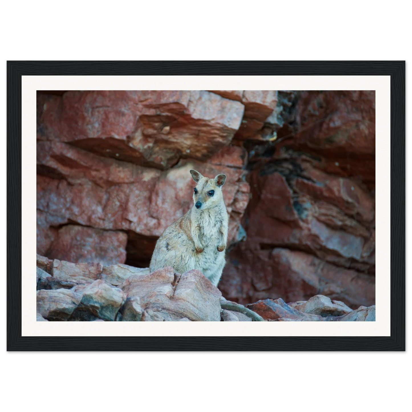 4ec09f9c-c3ea-4a46-87a1-2ce54d01a520