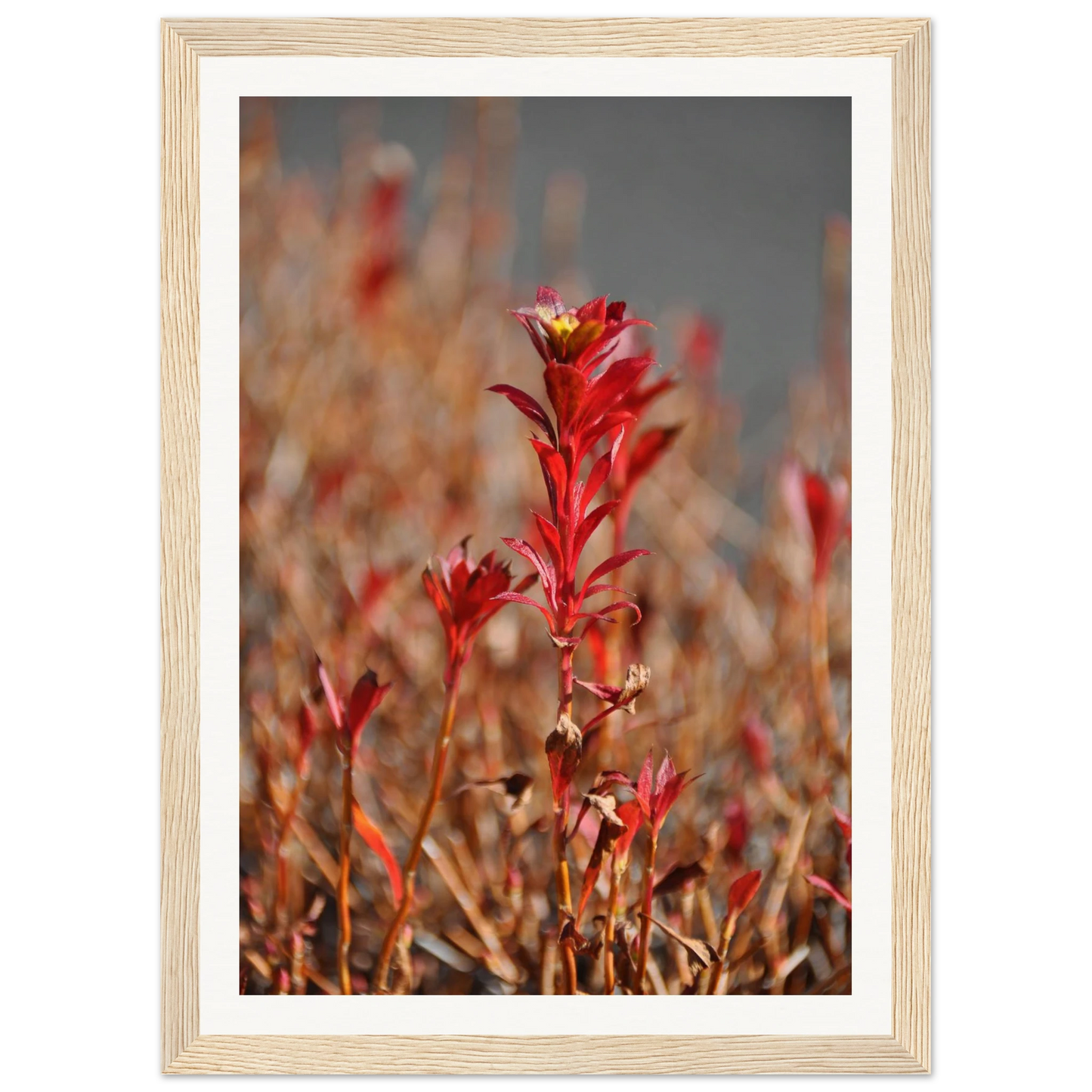 50162a8d-3202-44dd-bb39-3a99f2aa998c