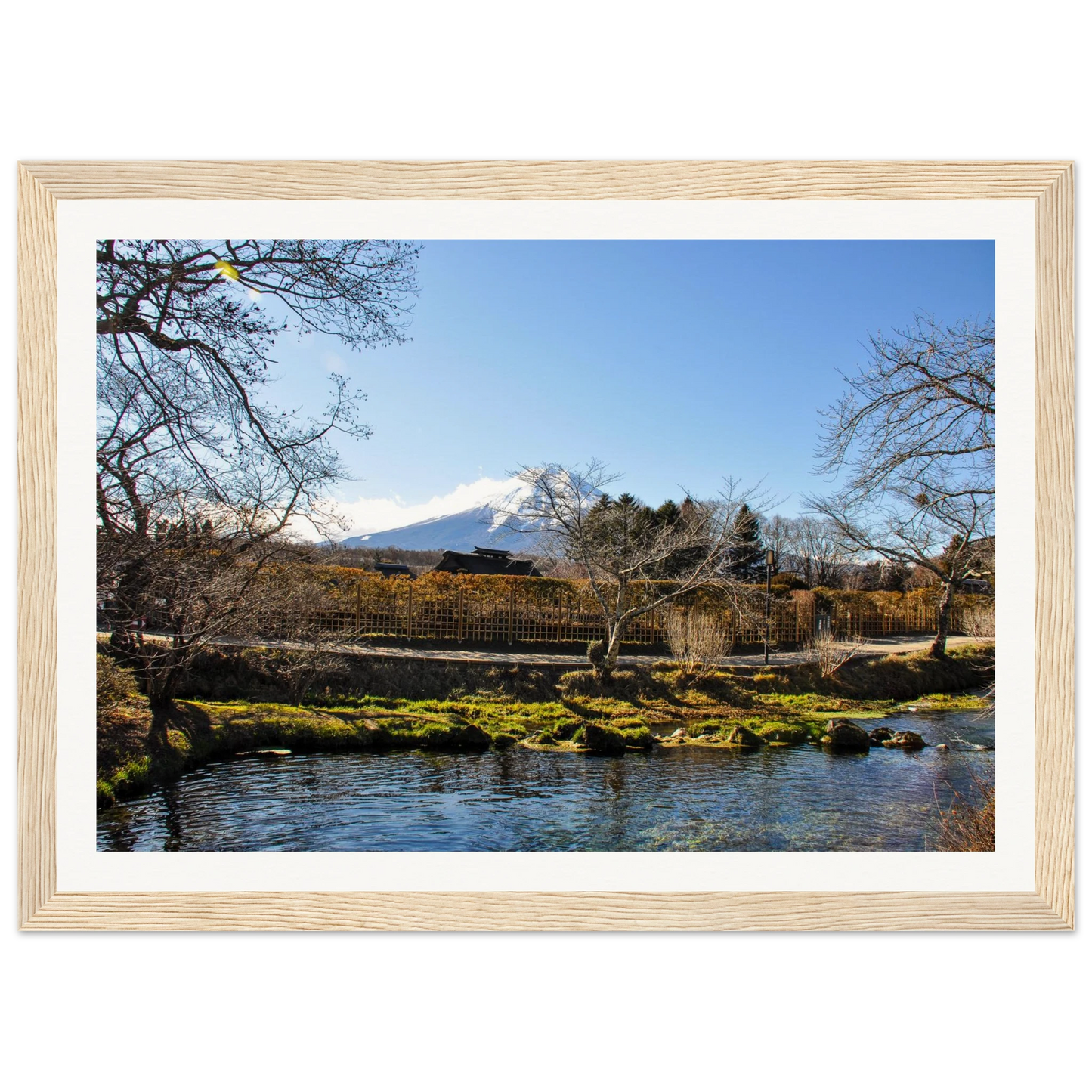 517b2a5d-99d0-47cc-8944-7a6b0ff33519