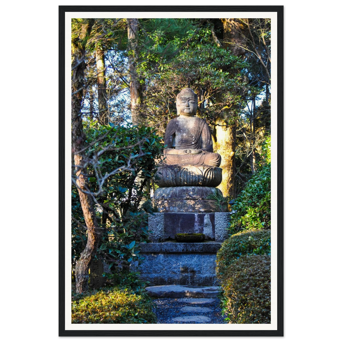 518e563f-7b92-4058-b721-7aee7a5b3629