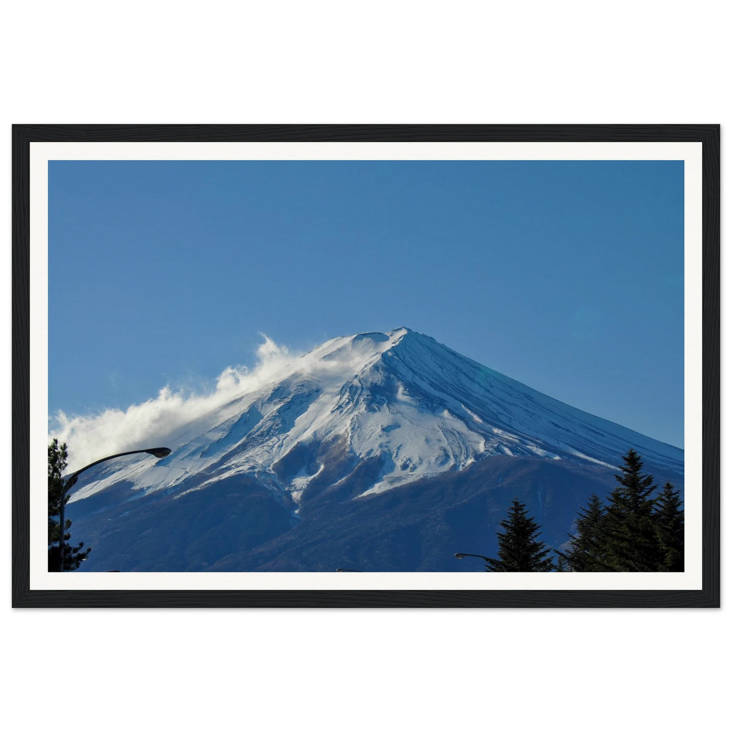 51dfe9dc-8b99-404c-ab59-6aaadc516756