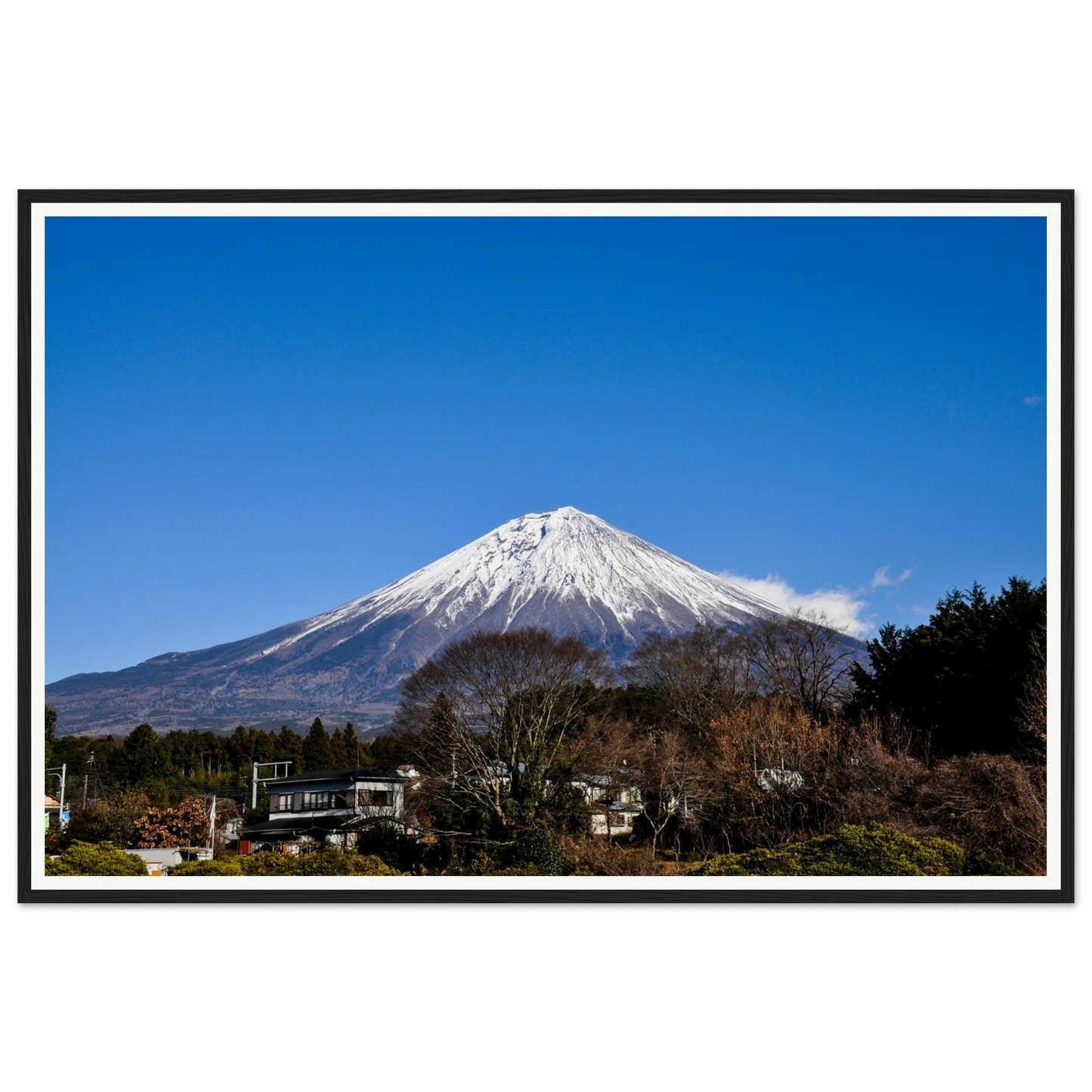 53cf6eee-0dc7-47f8-a677-ce1f316efc39