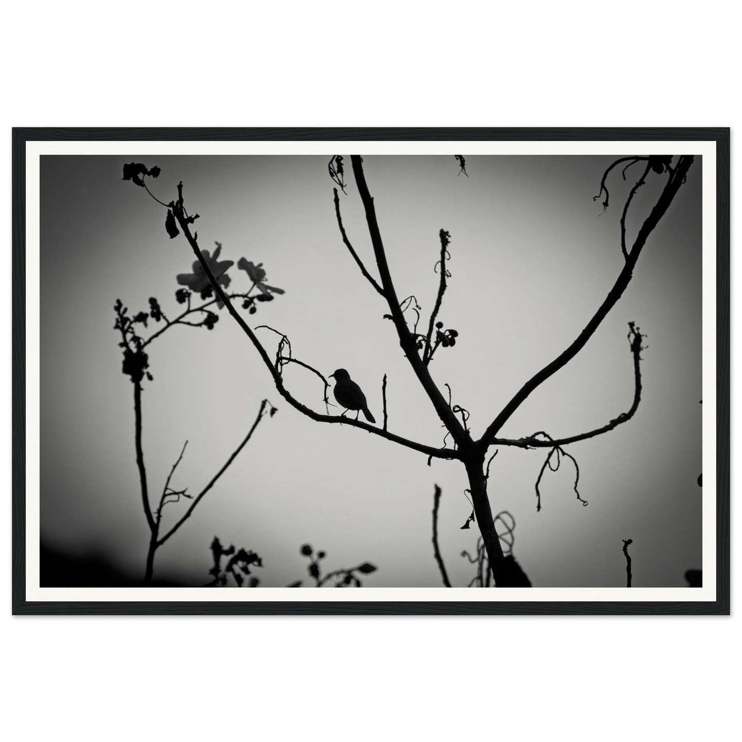 552435cd-59e9-4b07-814a-8fe7ff900e73