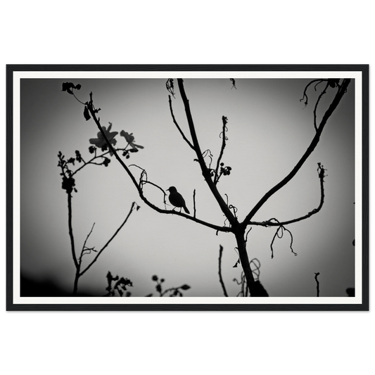 552435cd-59e9-4b07-814a-8fe7ff900e73