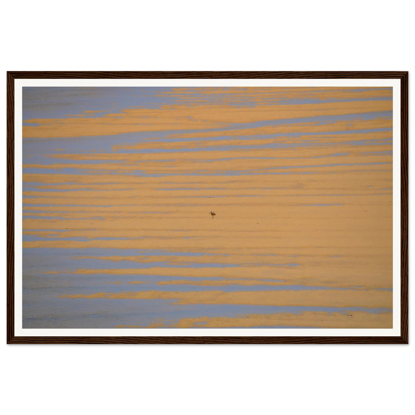 5c3e6431-b6e3-44f6-a142-b56b645603b3