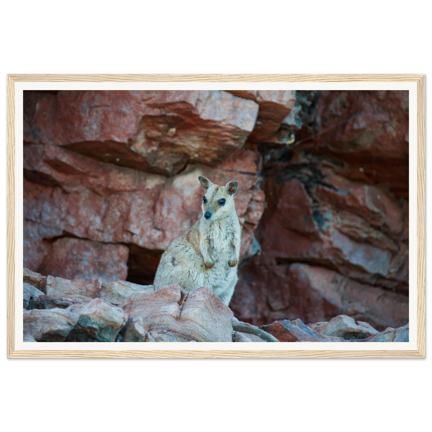 5f988862-ed9a-435b-94c1-3a4ea6f632bb