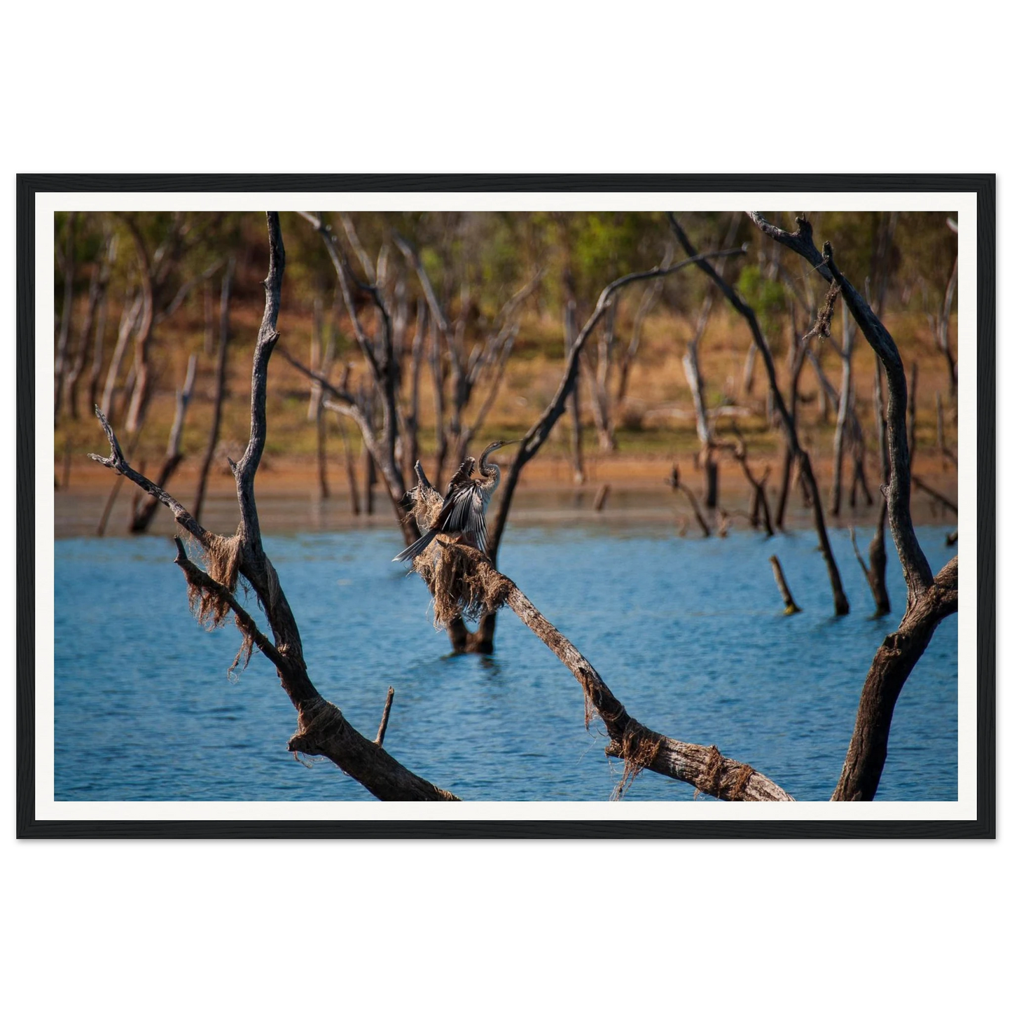 62e38a56-95ef-474f-b4d4-d8971c10a0e8