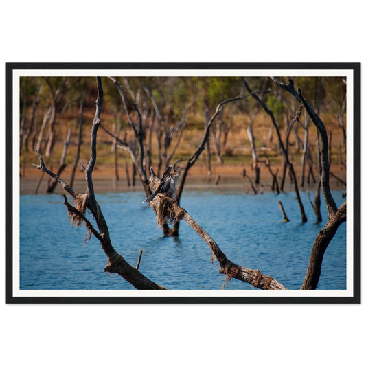 62e38a56-95ef-474f-b4d4-d8971c10a0e8