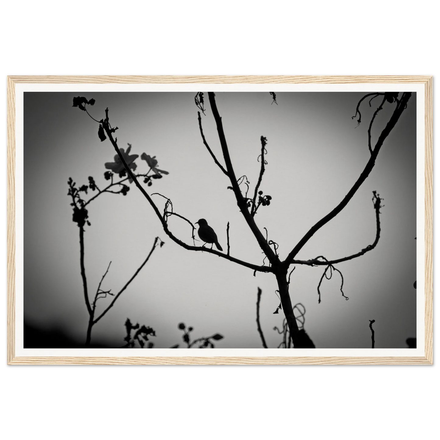 649769b5-be2f-4ac4-81f4-8f741a94407c