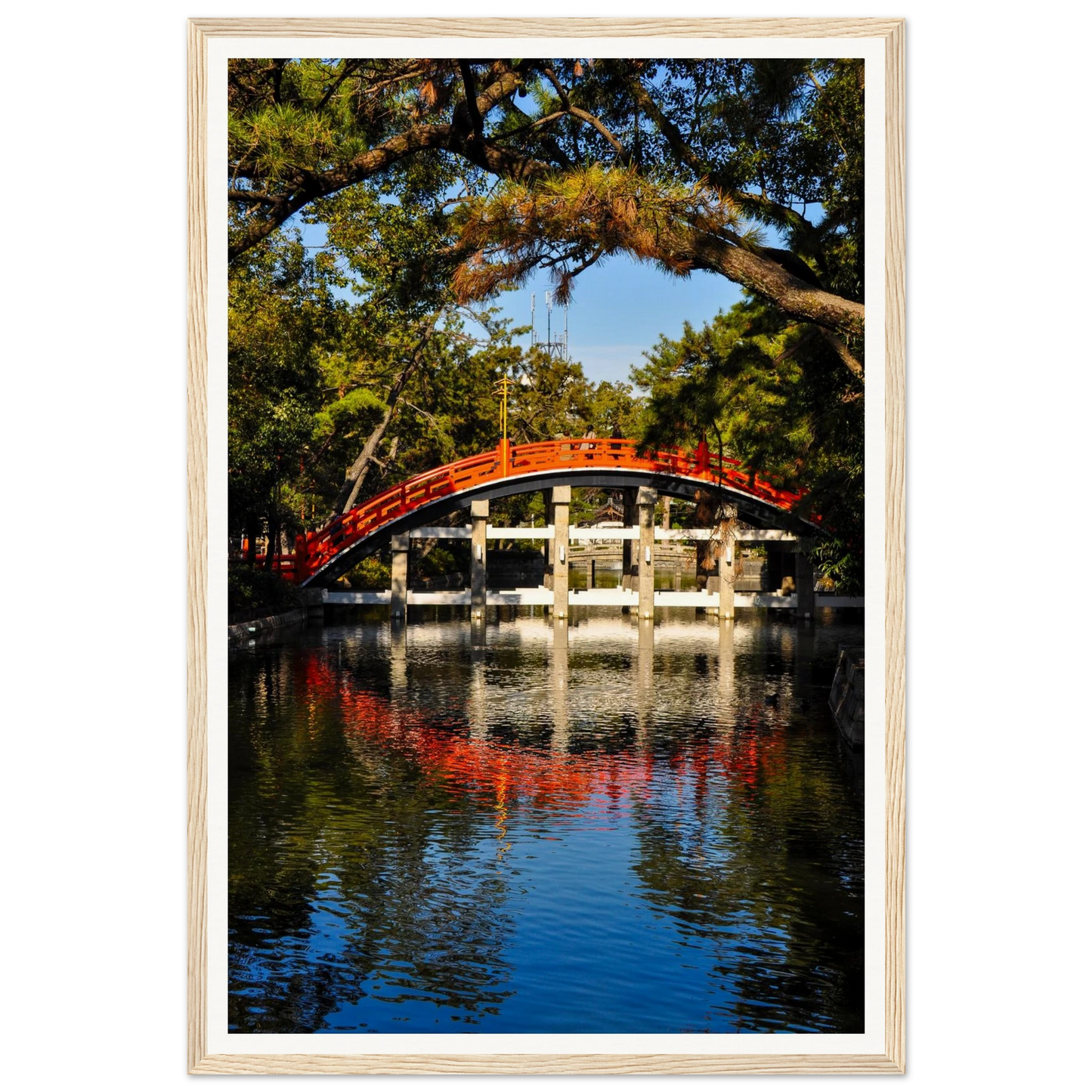 66c874e5-8ba4-4c85-a2ca-cc0e1efc3652