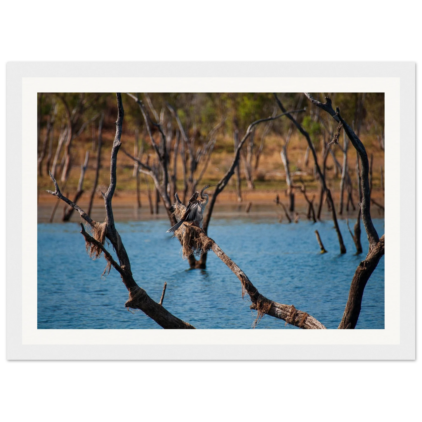 6862df39-2c9e-4fcb-9ed5-53b9aa8caa7e