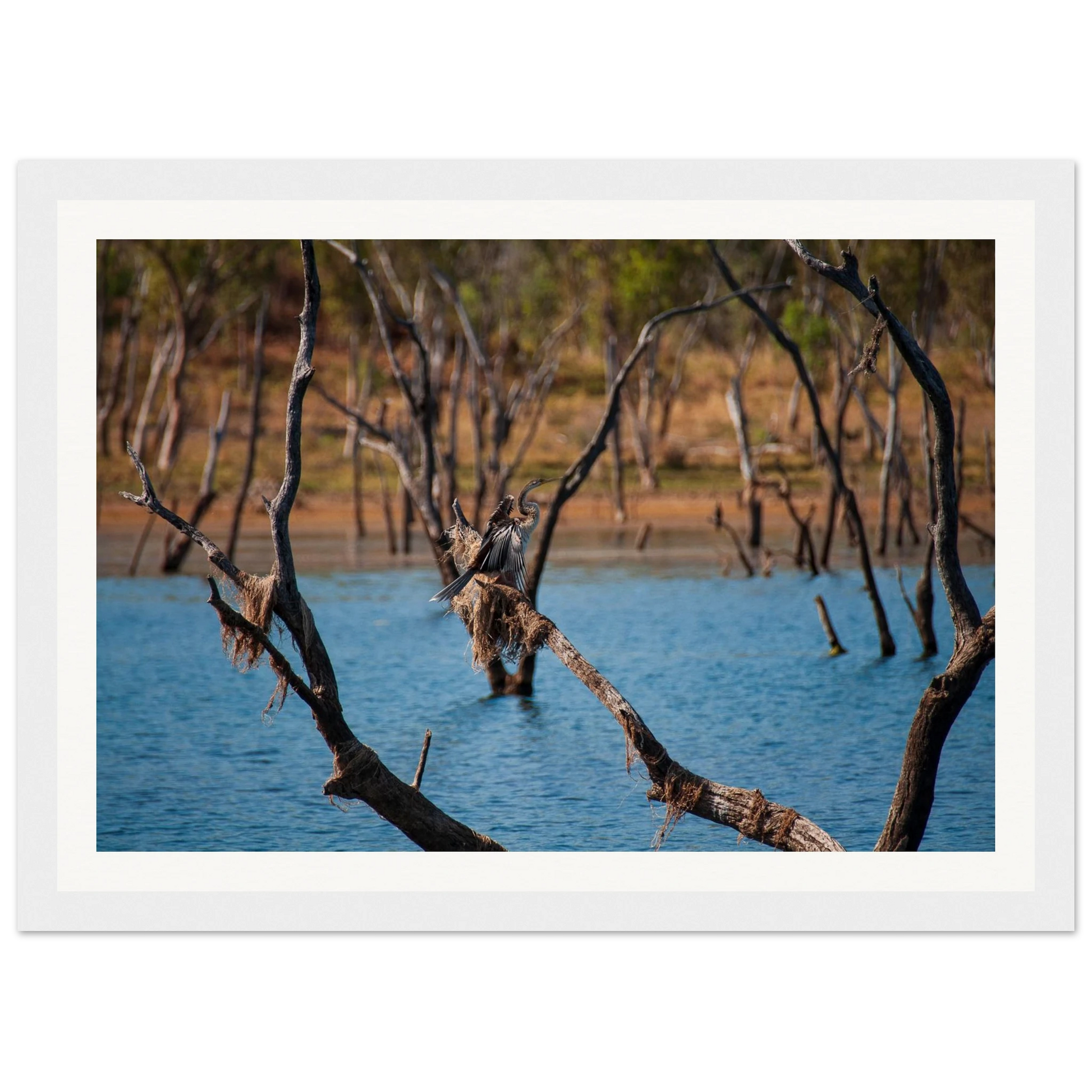 6862df39-2c9e-4fcb-9ed5-53b9aa8caa7e