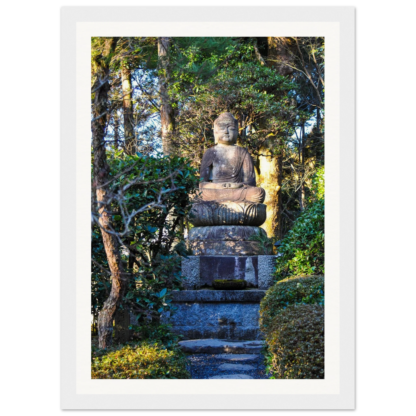 699e078e-4a1f-45e5-b283-b22747b0606a