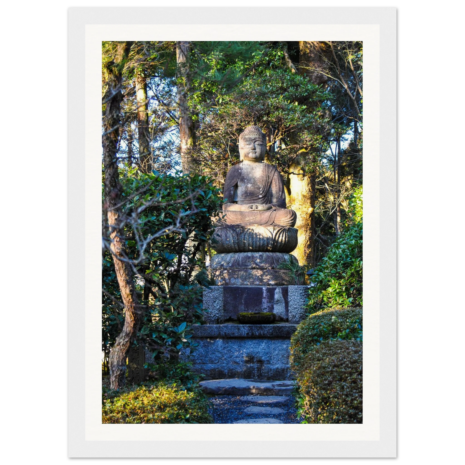 699e078e-4a1f-45e5-b283-b22747b0606a