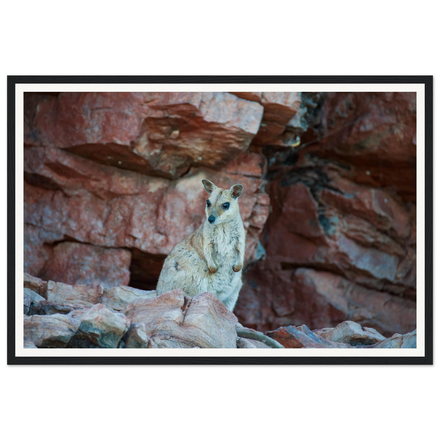 6be8f1e3-8b8d-4c31-b828-7334753034fb