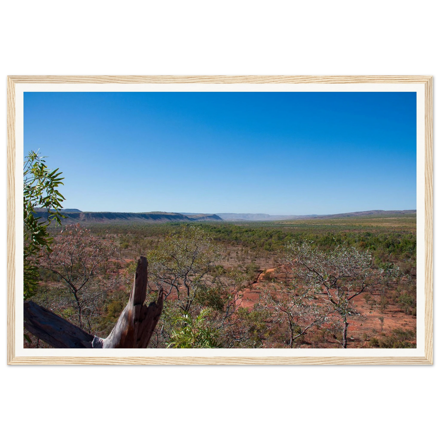 6d338d69-8b17-4e7a-b788-1a1c0ca67a76