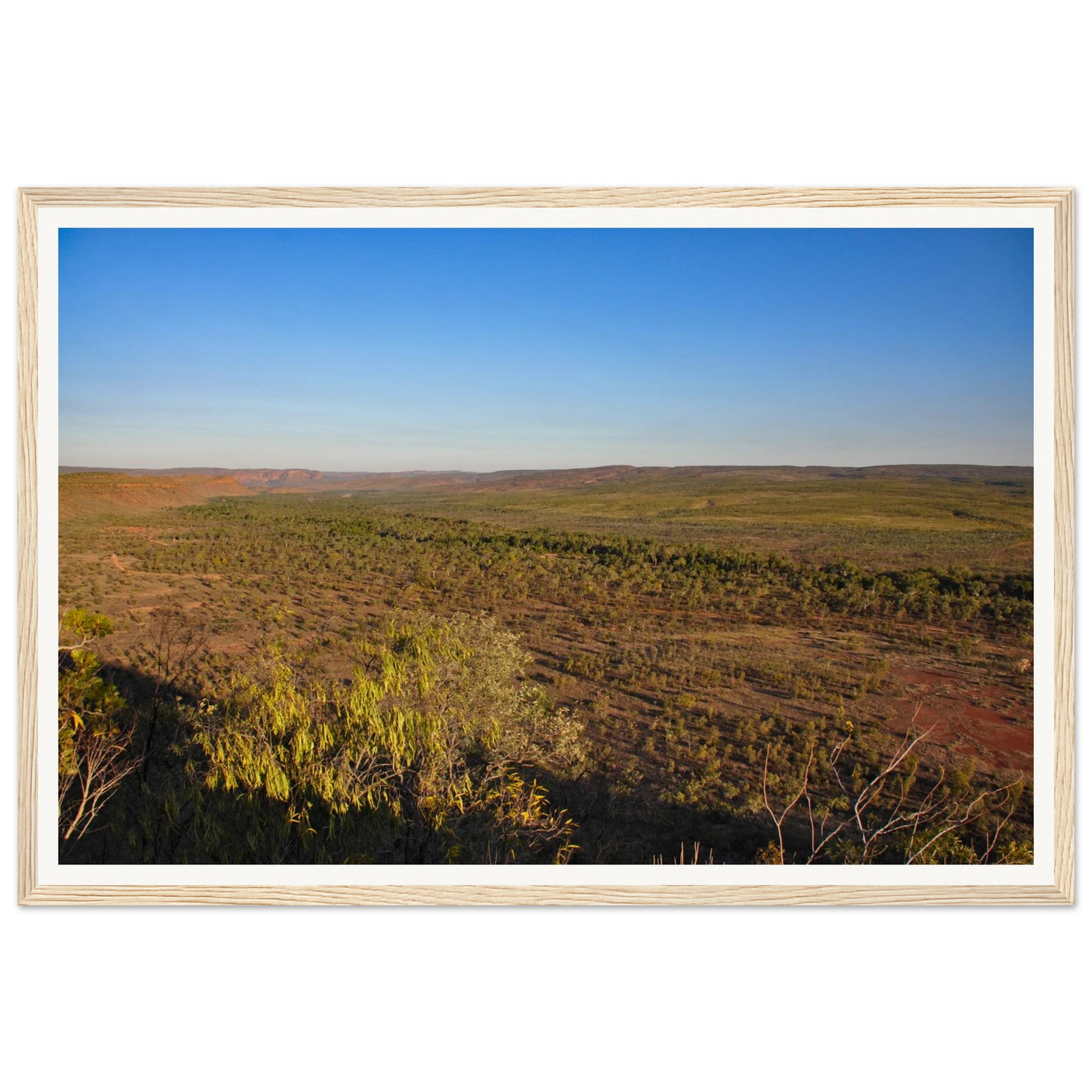 6ee20f1d-b14d-4cf1-b3f4-e7586b2ddd3b