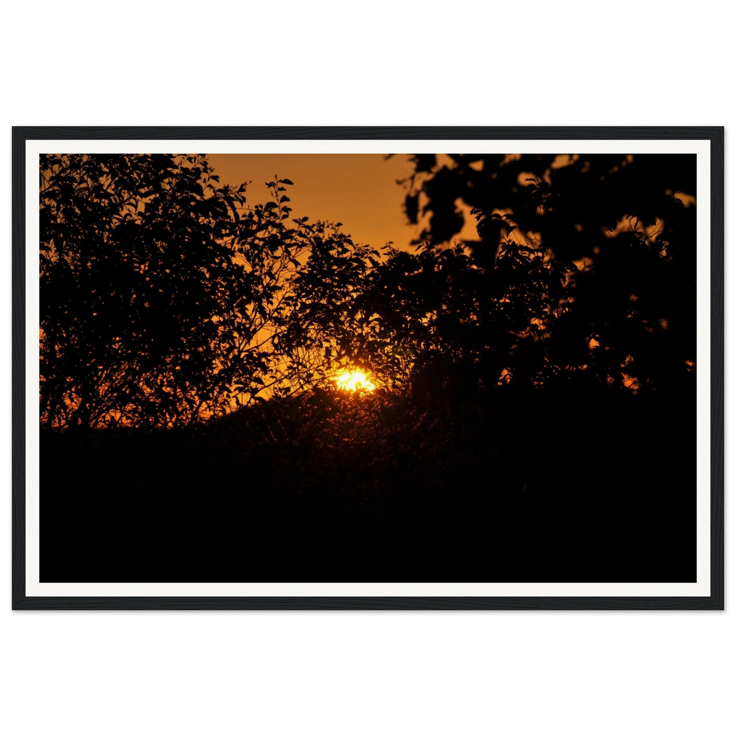 6fcb7d20-0bc1-4899-b8b1-f4ae4c4f3b9a