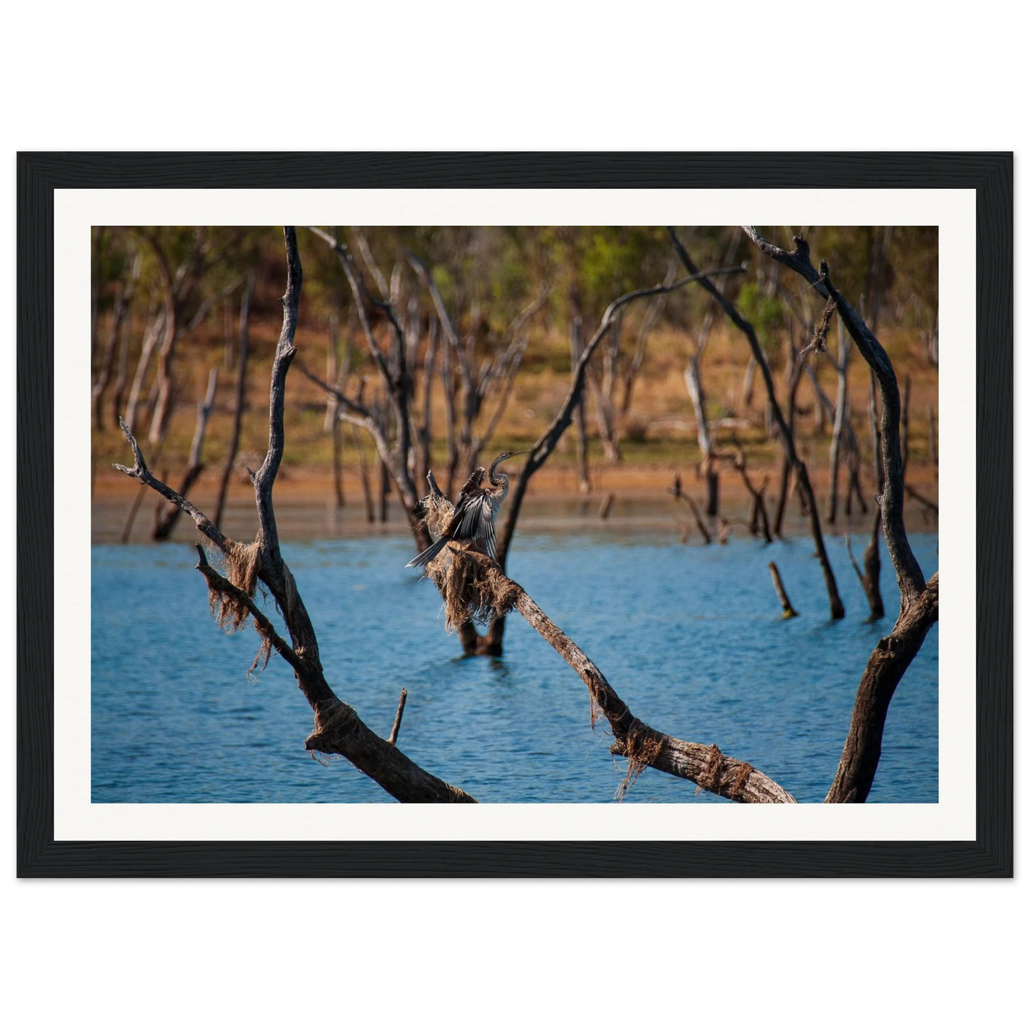 7165e3ee-06f1-4f47-bf1f-03f8a246a828