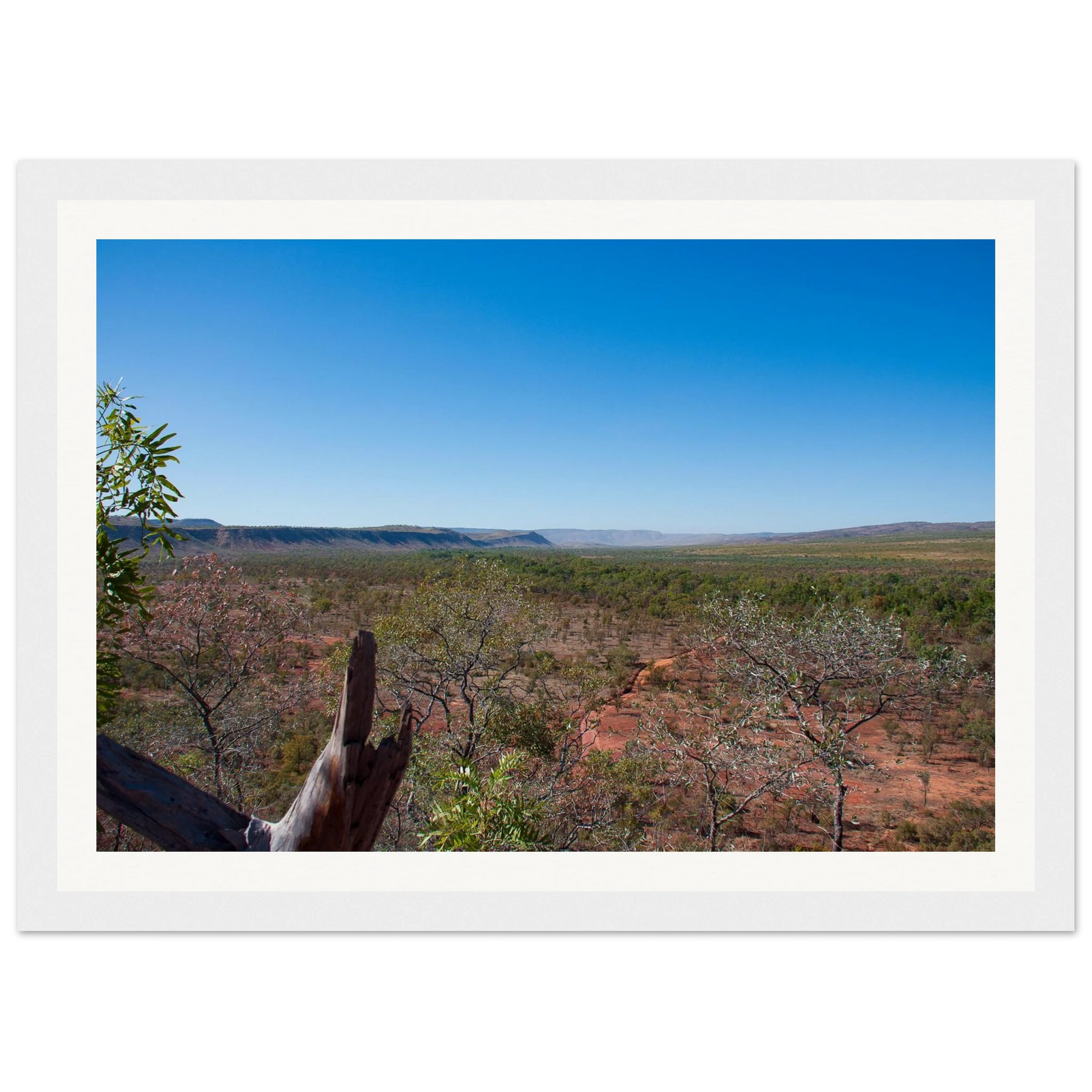 7338c71a-28c4-4b7d-82de-ae1aa943040d