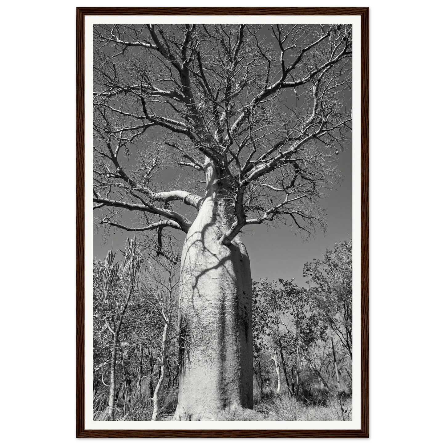 7731a94d-a8e8-439d-9272-5cef9c7f8afa