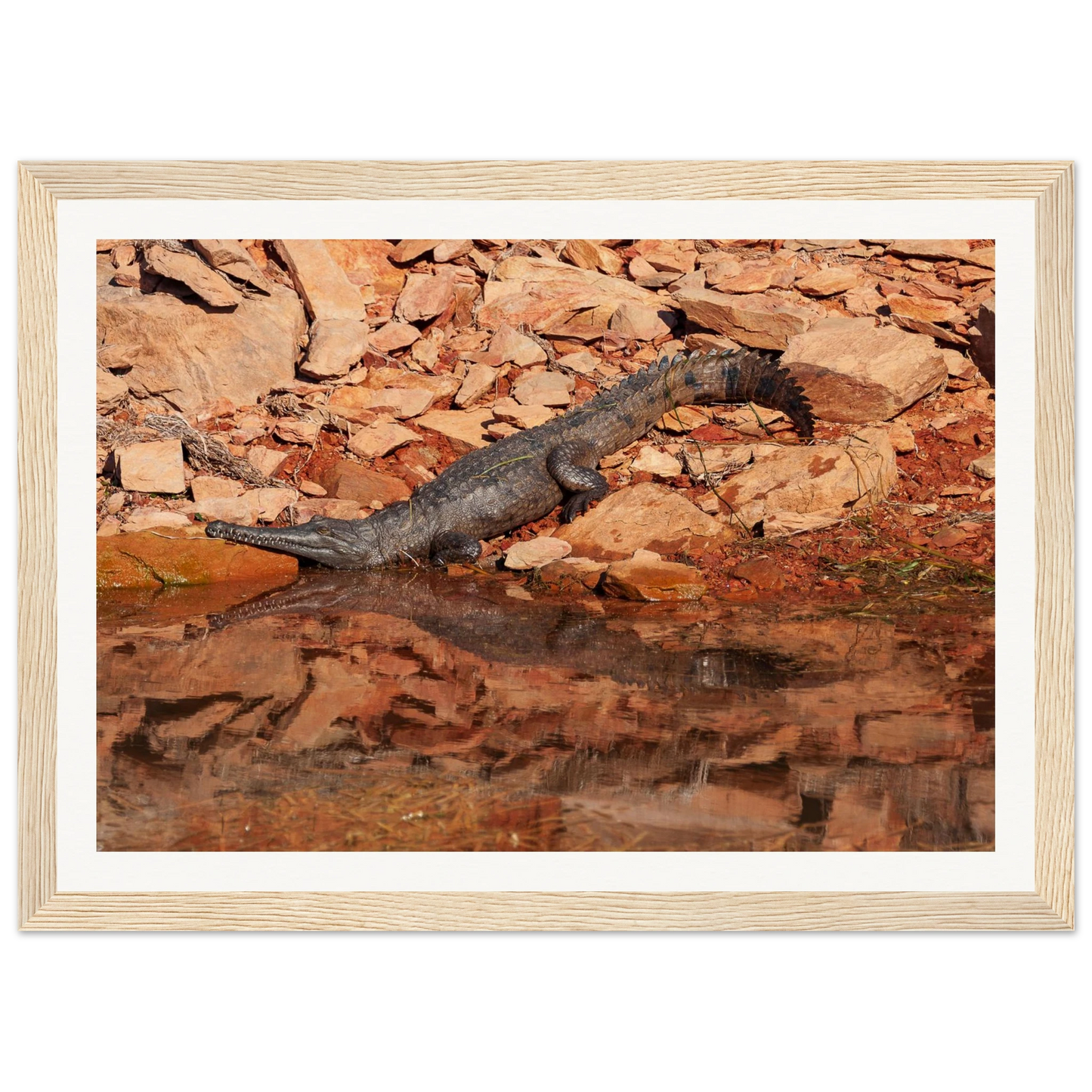 7795f642-3588-47b1-bc98-1e4770f783f6