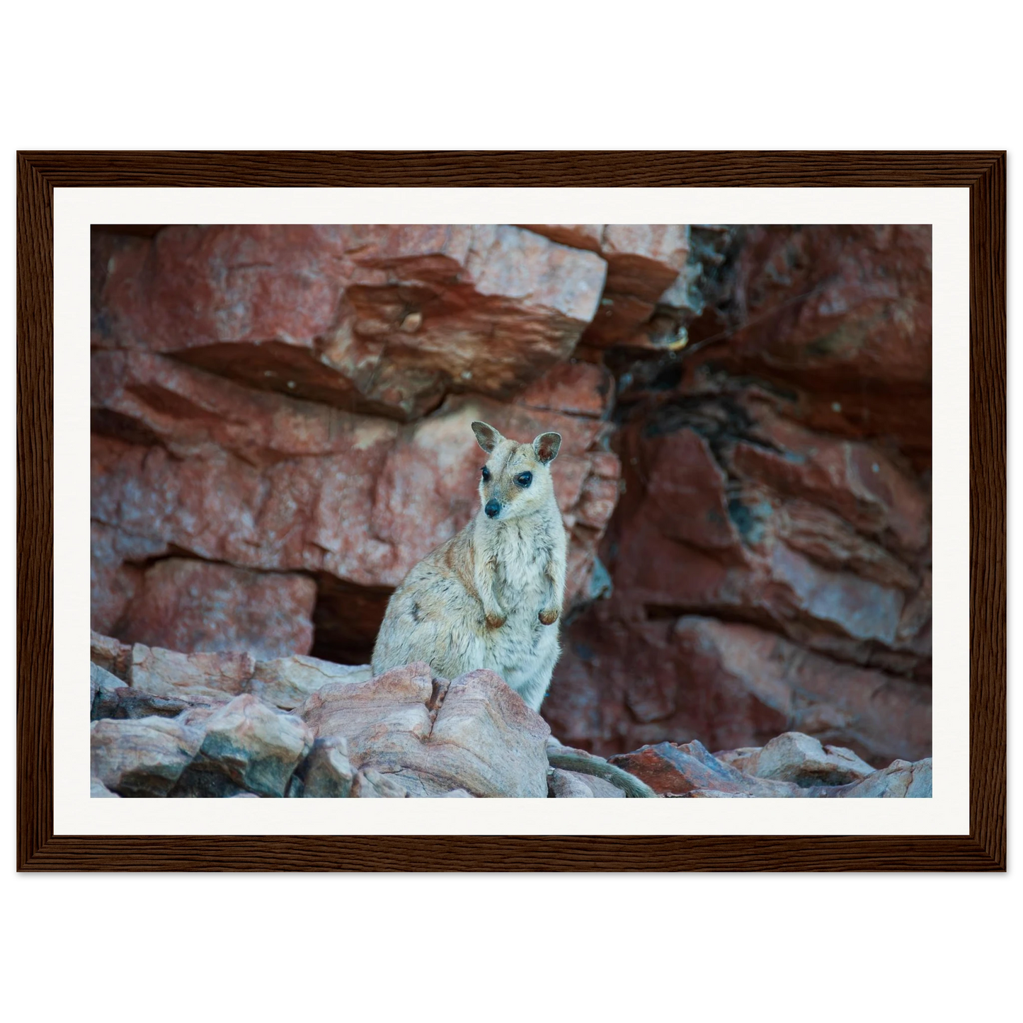 79864f54-ea0d-4982-9873-9dc7c1cbced4