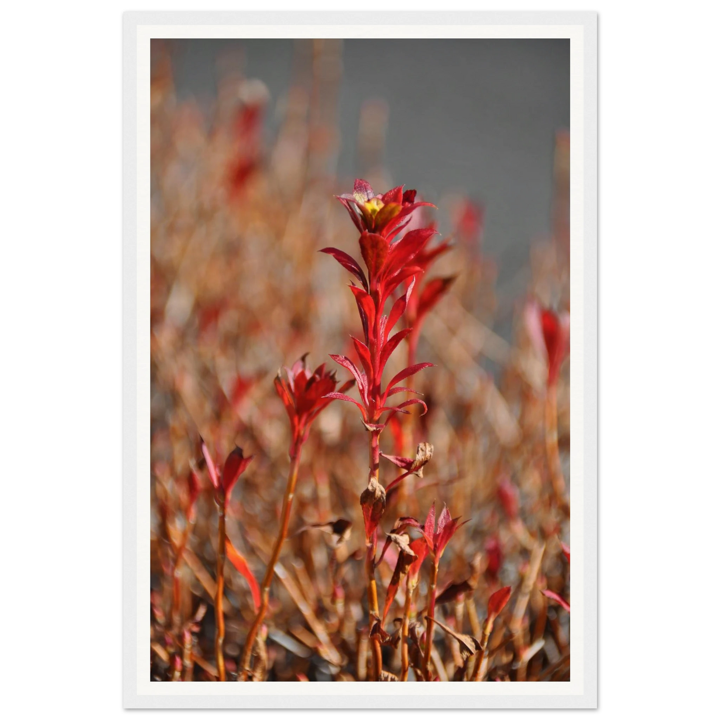 7c7a8b2a-0246-467e-b751-c88ee2dfc5ce