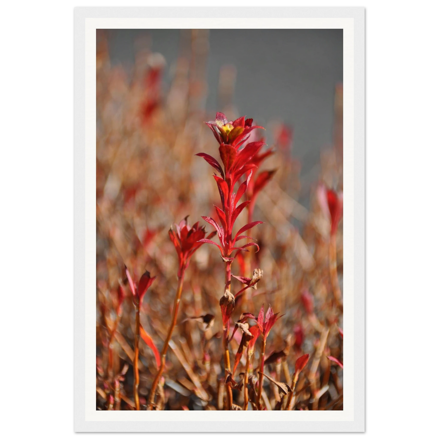 807752a5-96ac-49c2-a90e-bb9f47e987f6