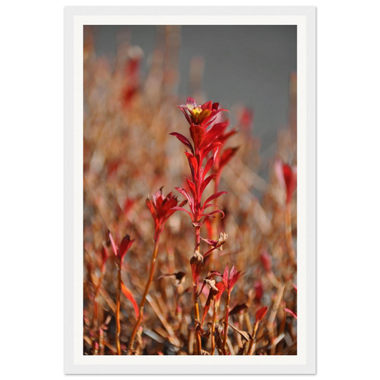 807752a5-96ac-49c2-a90e-bb9f47e987f6