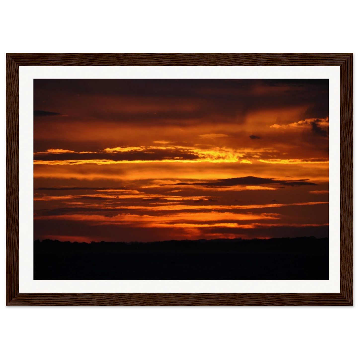 81e05365-25a4-4977-acb8-943fbfc85ec7