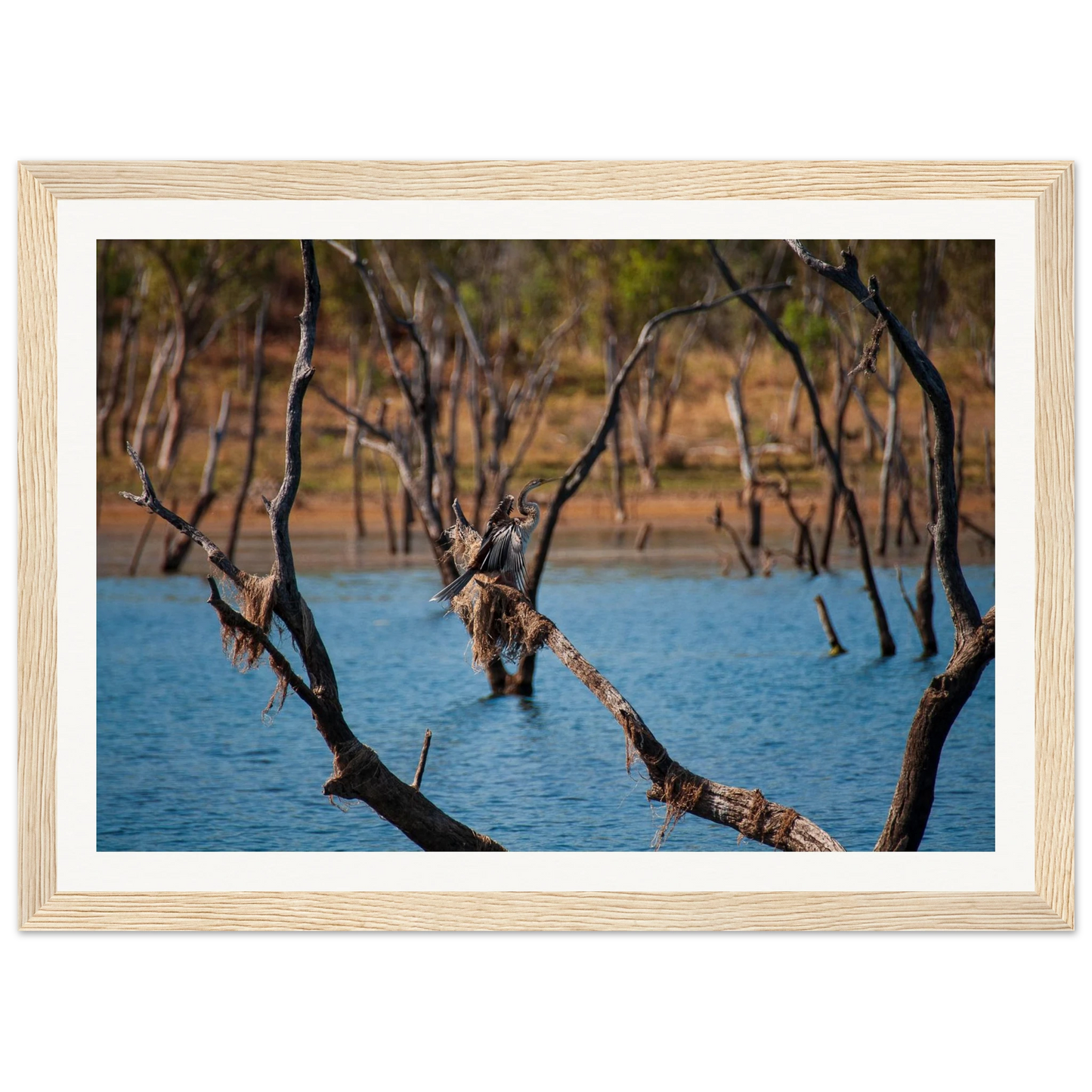 82d68264-8361-496e-b3f3-61b543941809