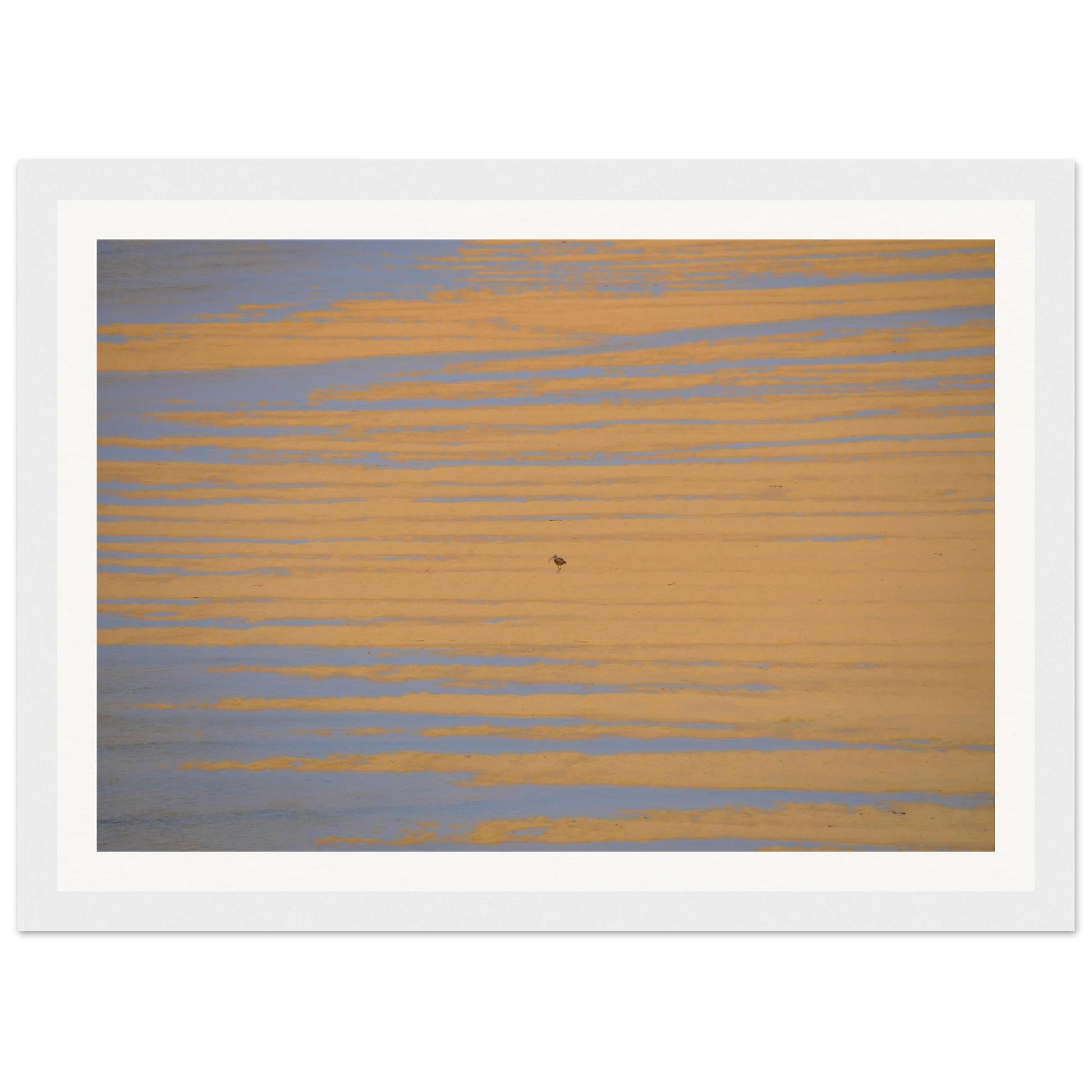 851030c8-1dbe-481d-aff9-f6eada1c64a6