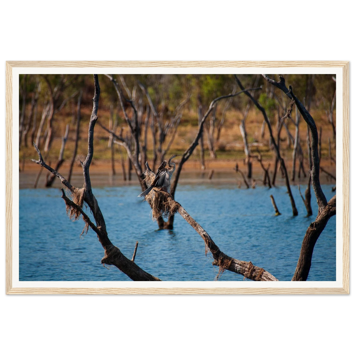 859ac1fd-0066-45e9-9250-8925ee869f31