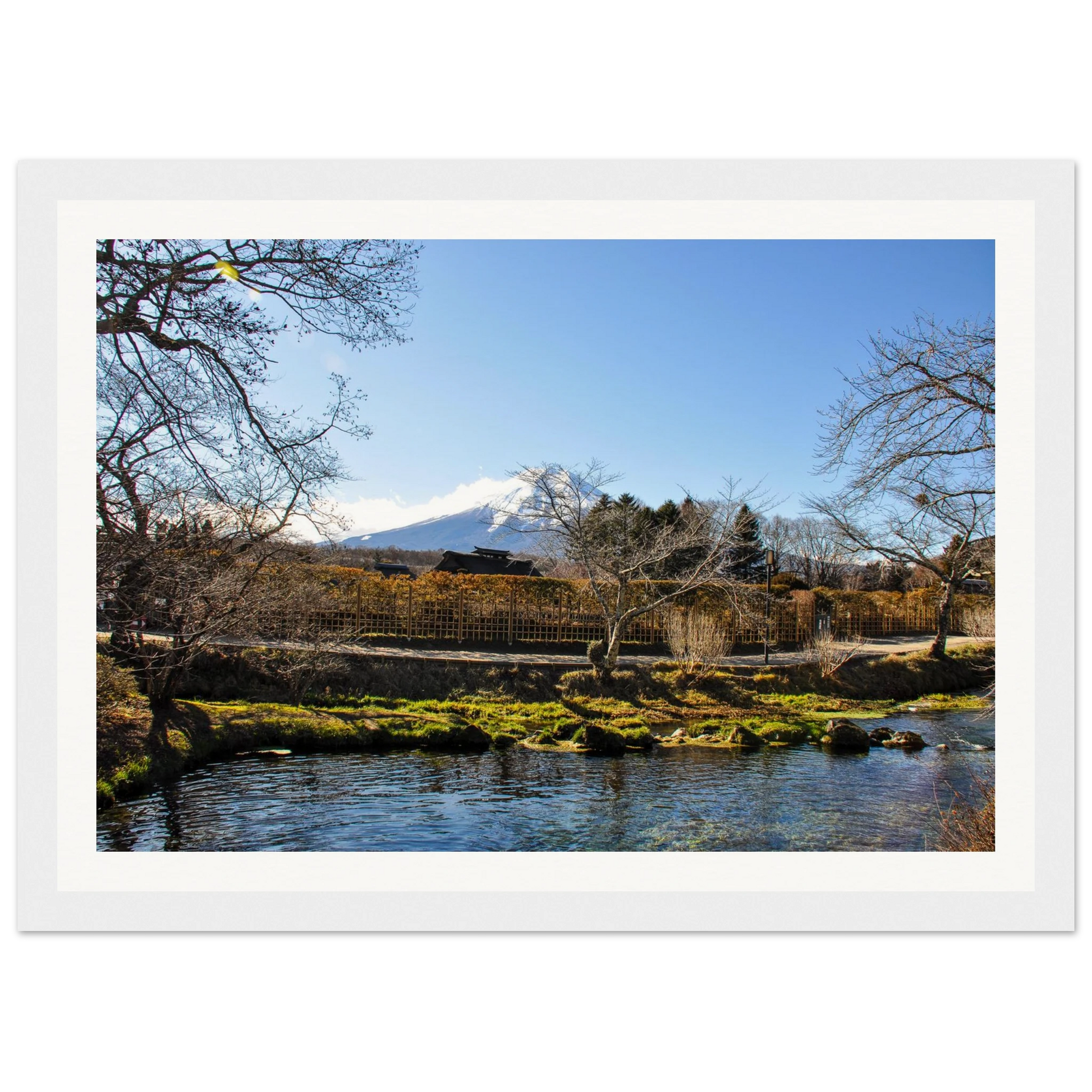 8677e50f-a46f-4f6f-b1af-983ea1144037