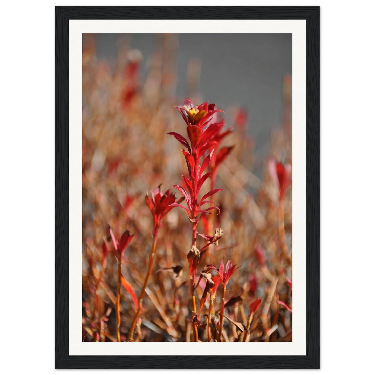 91adcc02-0ec0-4947-a6b3-e1e2c22979c1