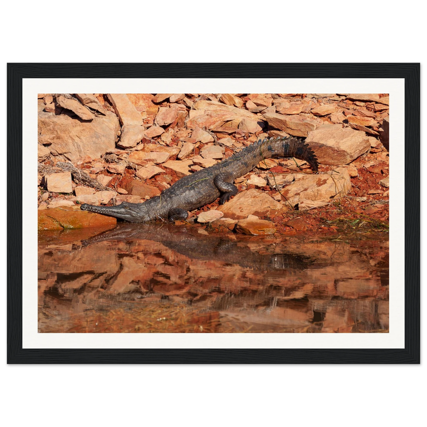 950d46c2-8aea-4078-8ebc-a6da3b475151