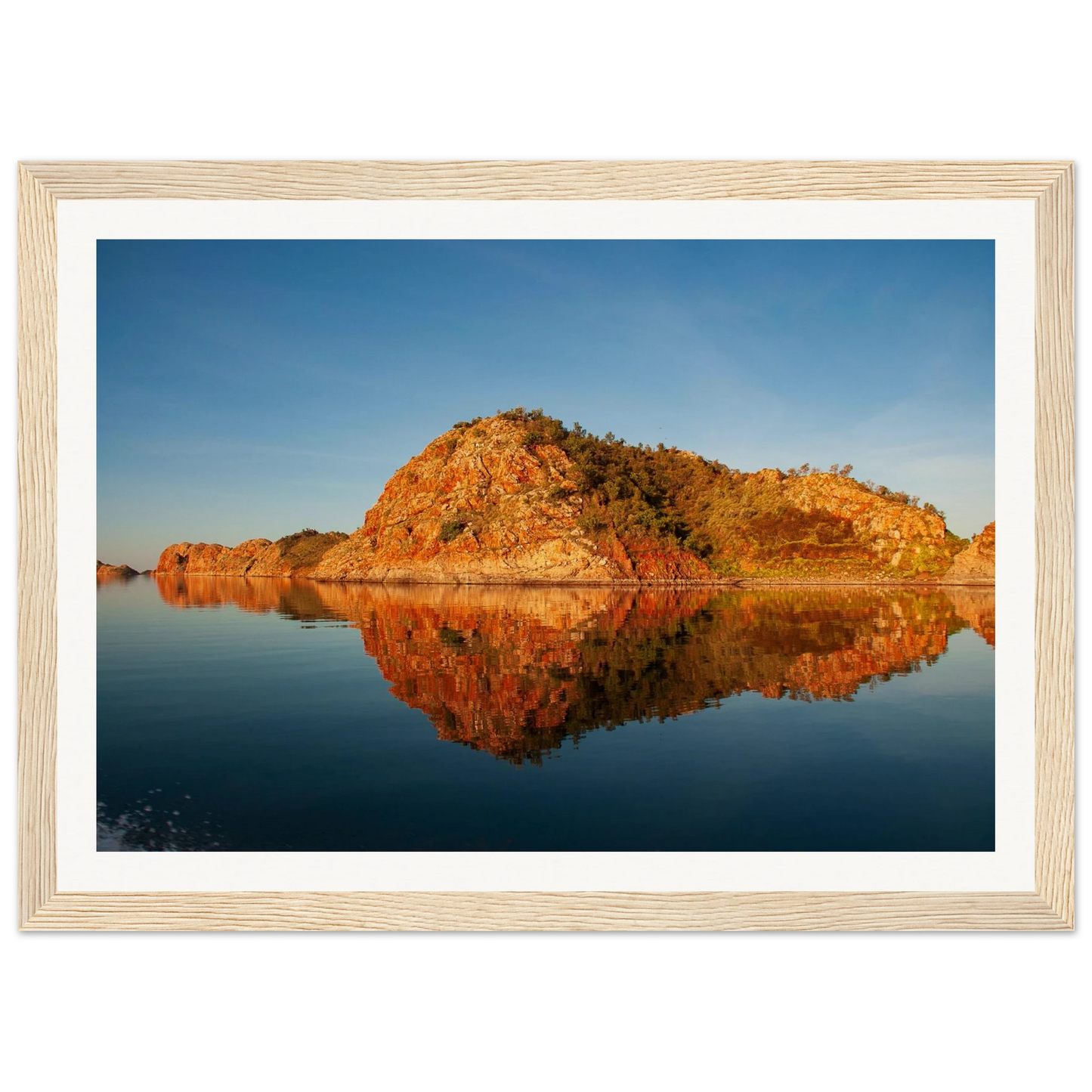 9795492c-911a-4ff1-9f53-ccf84862dfef