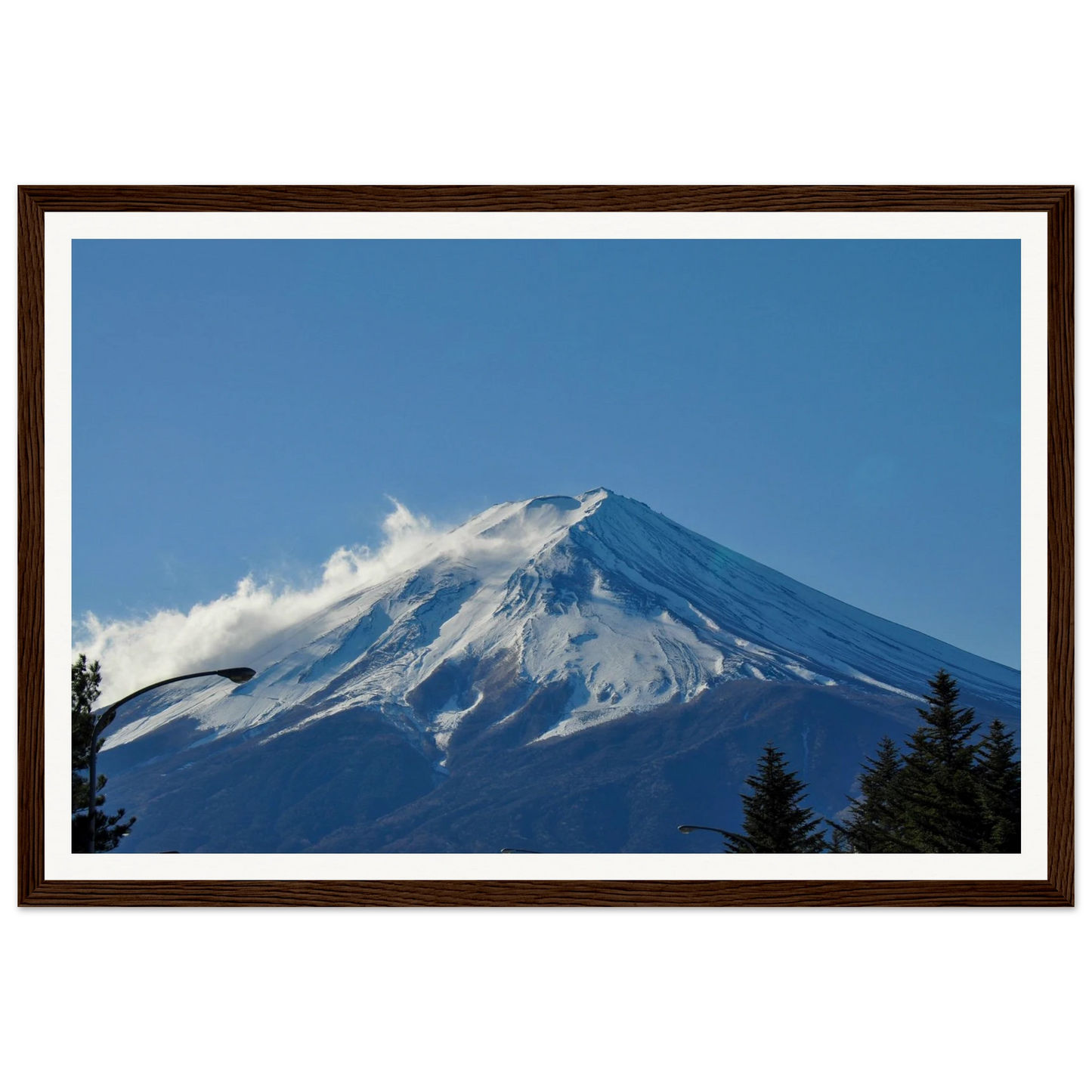 983c7e08-be84-445b-859f-3445177d6302