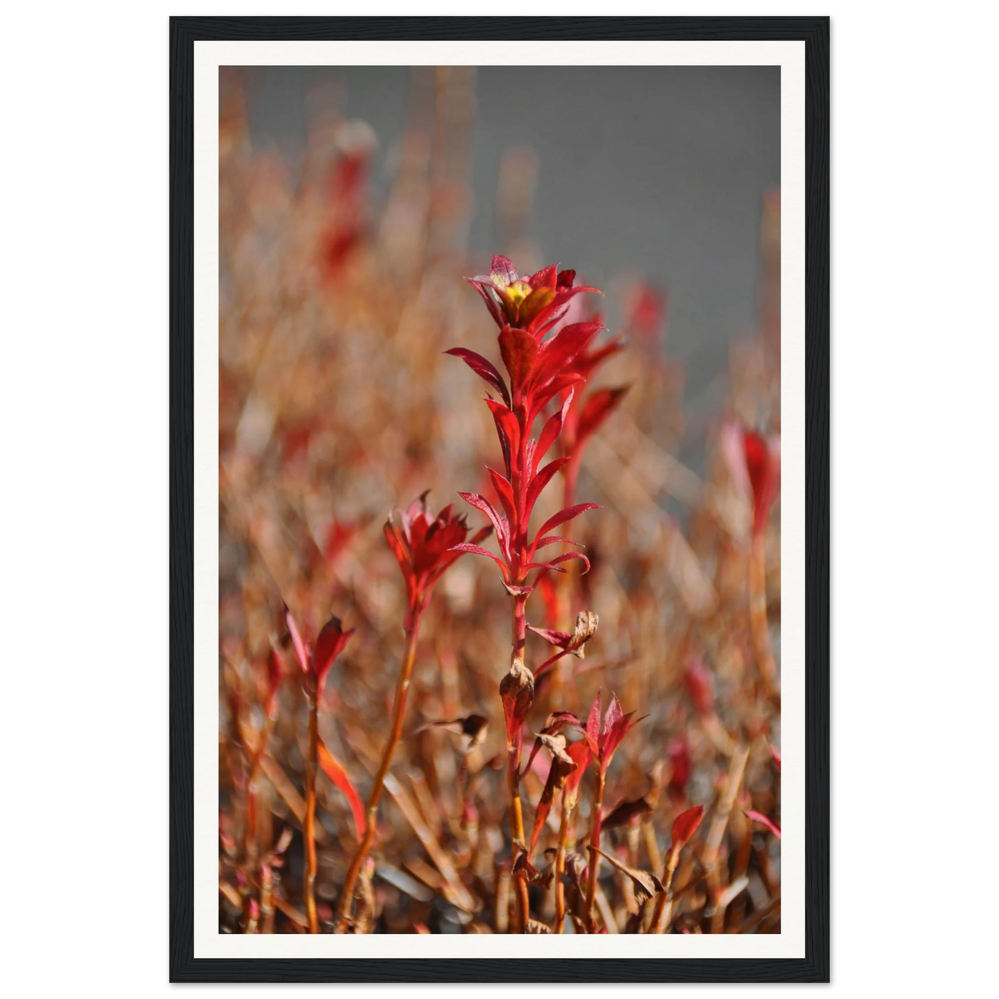 a164c3cb-970f-484e-bff3-2d63b72226c6