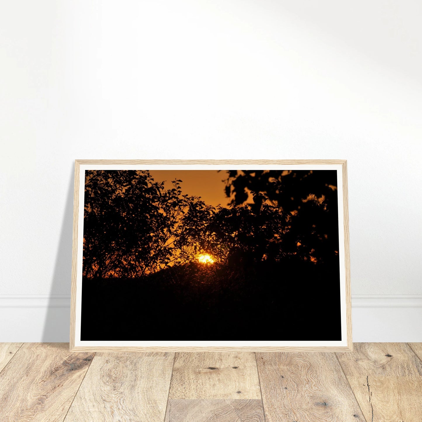 a5c29628-f63a-4b6a-8a5a-05c3a9d999bf