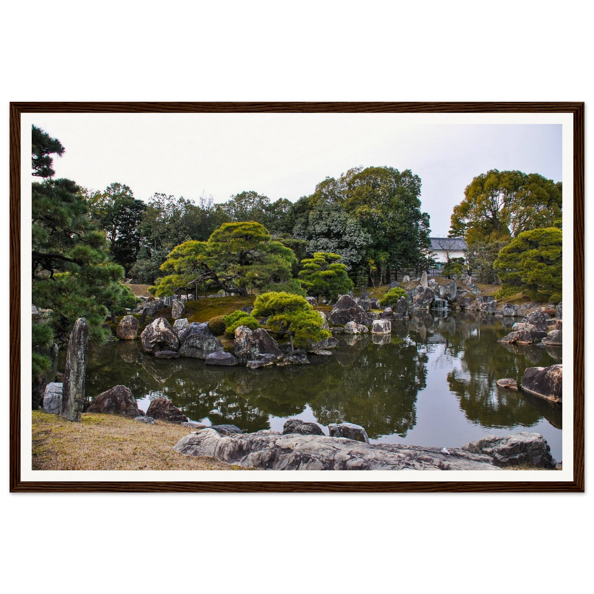 Serenity in Stone: Japanese Garden at Nijo Castle, Kyoto. Fine-art photograph of the Japanese garden at Nijo Castle, Kyoto, Japan — pine, stone and pond. Framed wooden poster · Made-to-order · Free Australia-wide shipping. — Two Fat Bunnies.