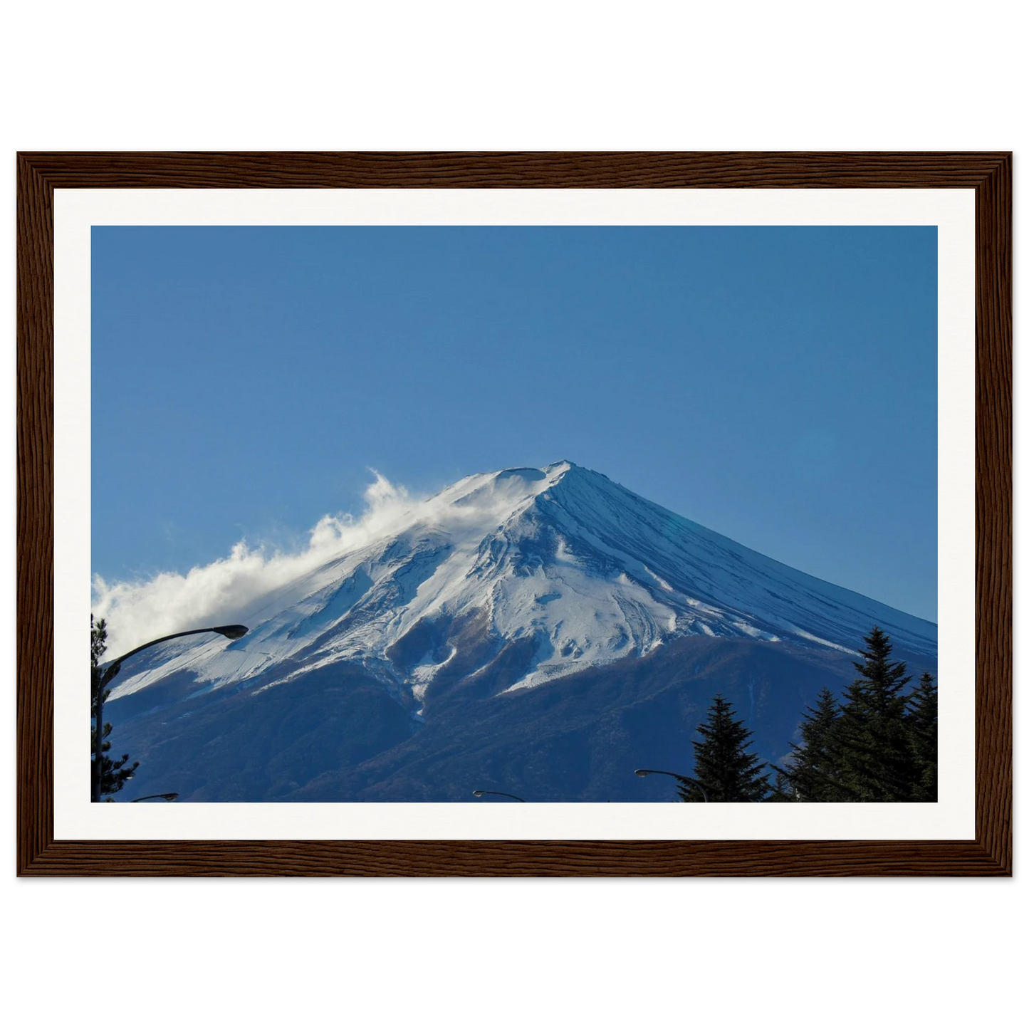 aba54f64-c2bf-47f6-a926-3d2a2b310e19