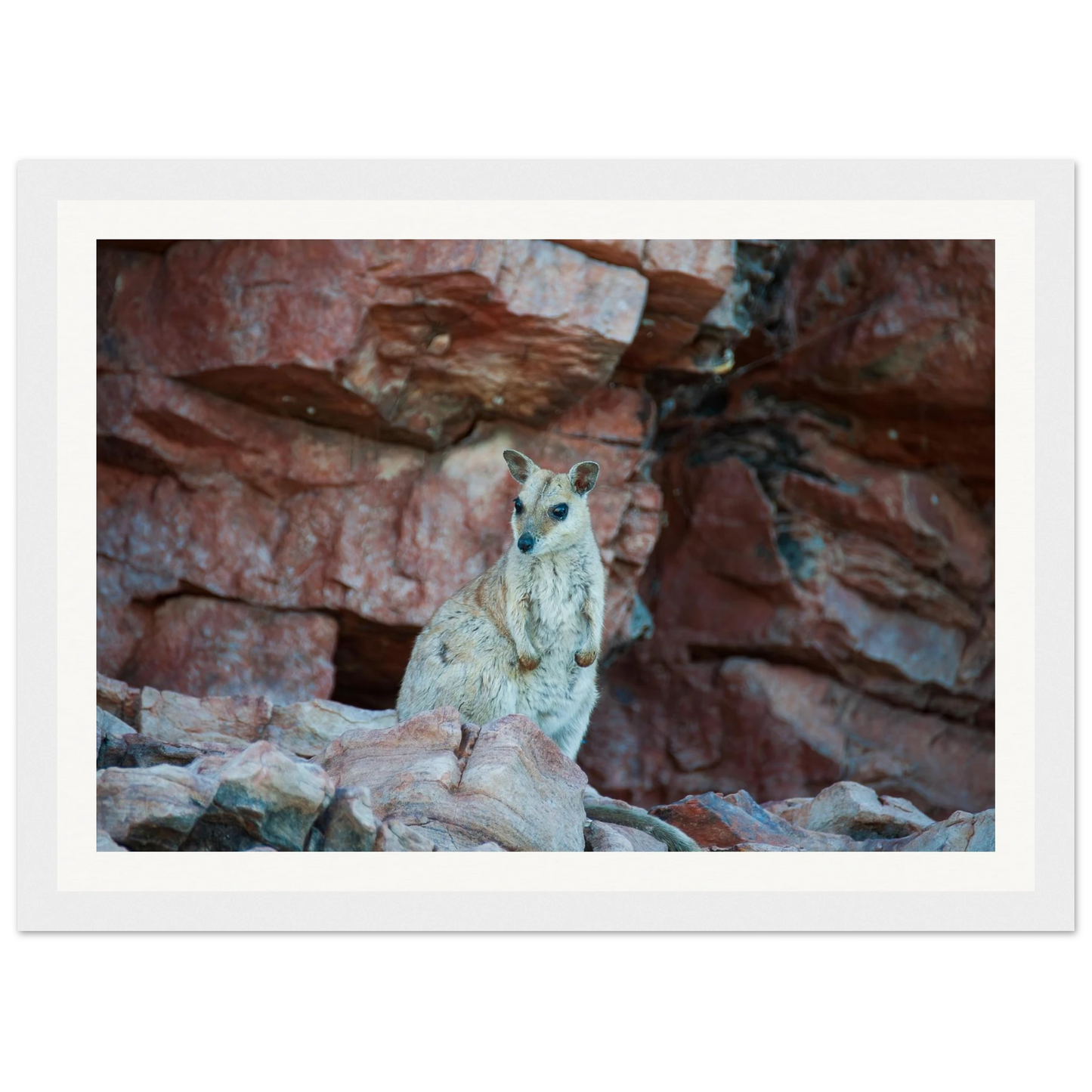 aeabf41a-70d0-4f5c-869e-4f1cc906218e