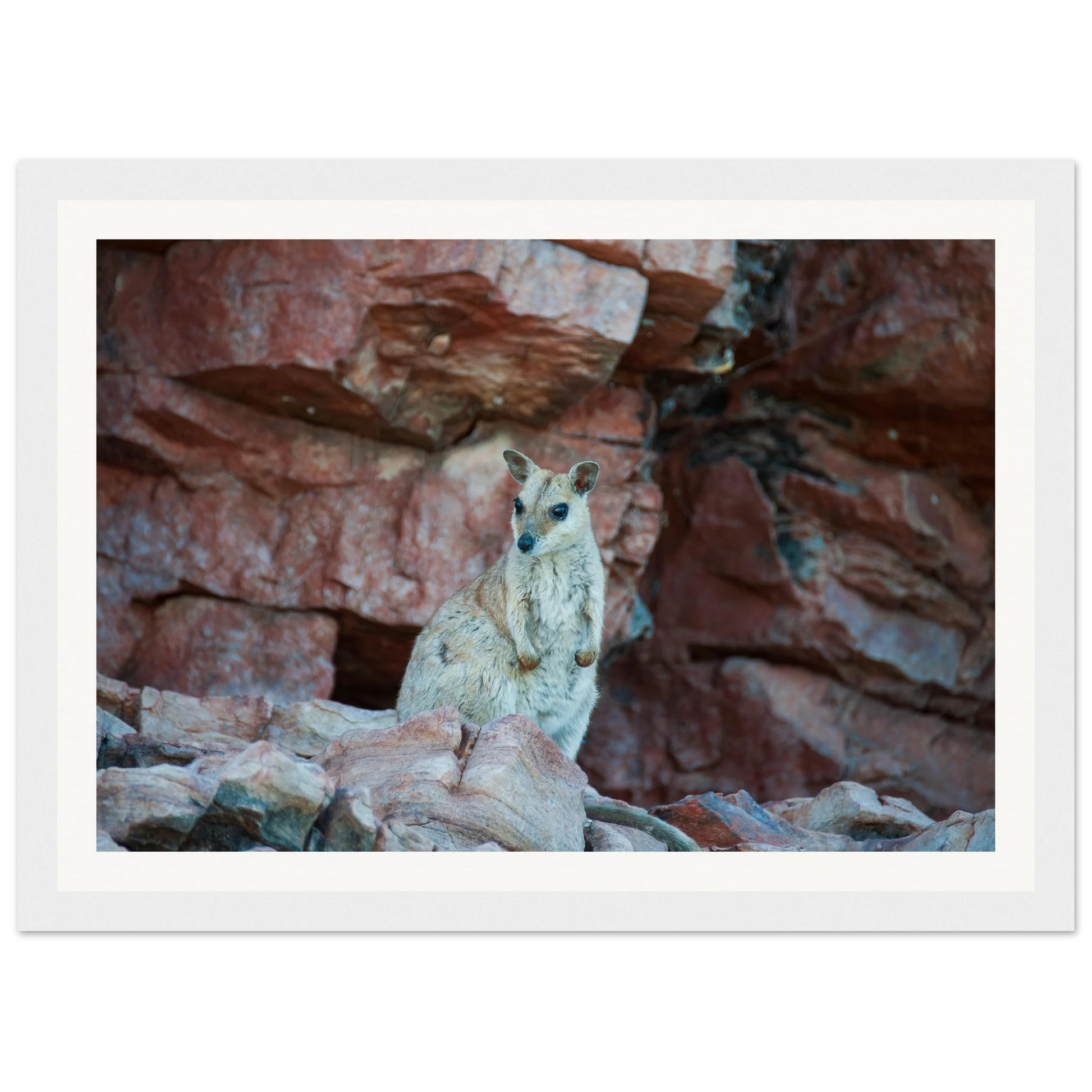 aeabf41a-70d0-4f5c-869e-4f1cc906218e