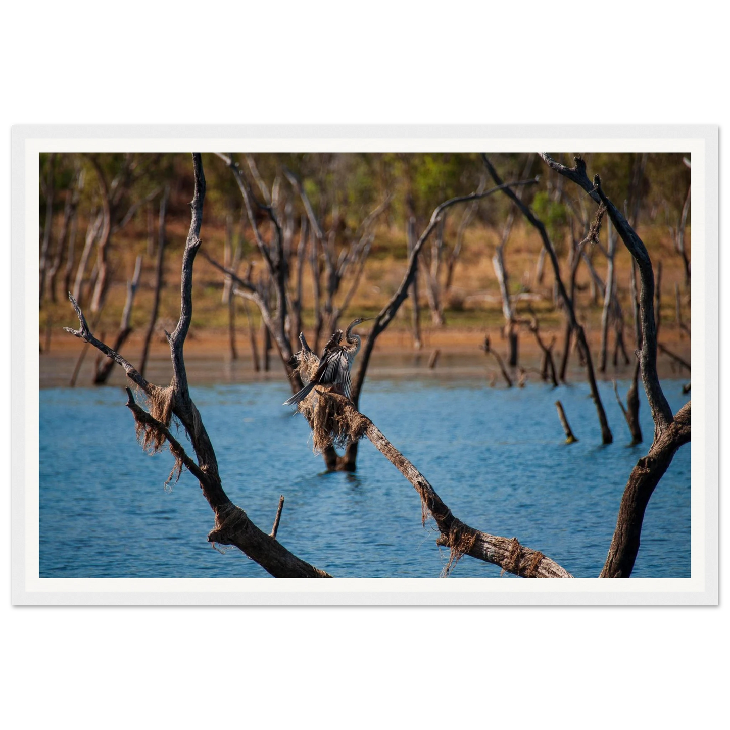 b236280c-6819-4cc1-a3c7-c84c40ed92f6